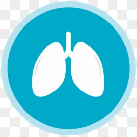 Usos De Las Cã©lulas Madre - Circle Blue Youtube Logo, HD Png Download - pulmones png