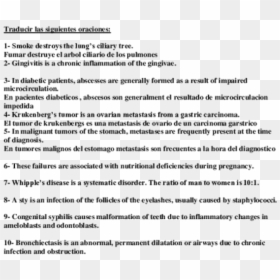 Document, HD Png Download - pulmones png