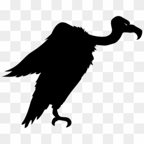 Bird Turkey Vulture Silhouette Clip Art - Vulture Silhouette, HD Png Download - the vulture png
