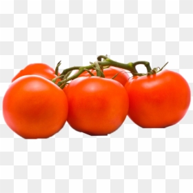 Plum Tomato, HD Png Download - tomato .png