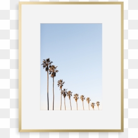Metal Gallery Matte Gold - Love Palm Tree Quotes, HD Png Download - gilded frame png