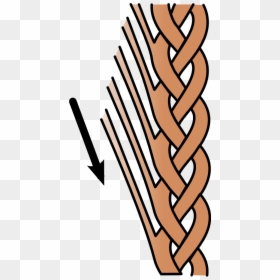 Lace Braid Graphic, HD Png Download - lace png file