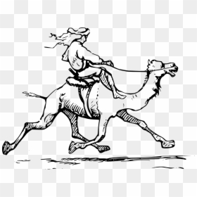 Man Riding A Camel Png Easy To Draw - Ride A Camel Clipart, Transparent Png - camel.png