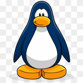 Http - //vignette2 - Wikia - Nocookie - Net/clubpenguin/images/ - Club Penguin Blue Penguin, HD Png Download - pinguim png