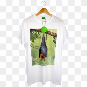 T Shirt With Hanger In Png, Transparent Png - fruit bat png