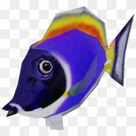 Download Zip Archive - Pomacentridae, HD Png Download - blue tang png
