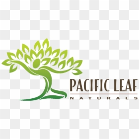 Pacific Leaf Natural - Dancing Figure With Tree, HD Png Download - kratom png
