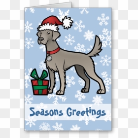 Long Haired Weimaraner Christmas Card - Dog Catches Something, HD Png Download - weimaraner png