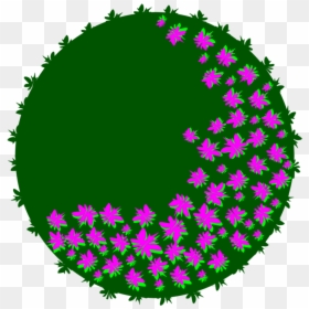 Plant,flower,circle, HD Png Download - steemit png