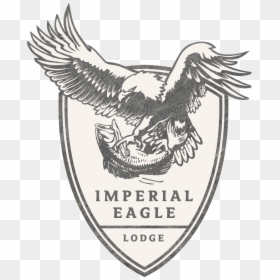 Imperial Eagle Lodge - Group 11 Rugby League, HD Png Download - imperial eagle png