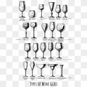 Wine Glass Drawing, HD Png Download - wine glass drawing png
