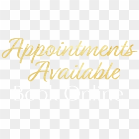 Appointments Available Copy - Appointments Available, HD Png Download - lindsey morgan png
