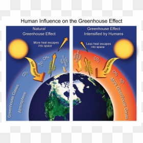 Do Humans Contribute To The Greenhouse Effect, HD Png Download - rumah png