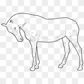 Standing Horse Outline Drawing - Horse Drawing Outline, HD Png Download - horse outline png