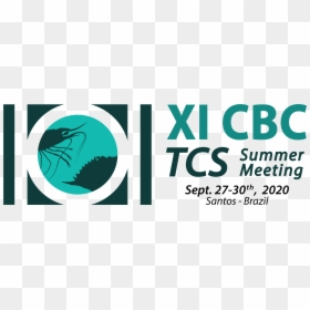Logo Xi Cbc Tcs Summer Meeting - Graphic Design, HD Png Download - tcs logo png