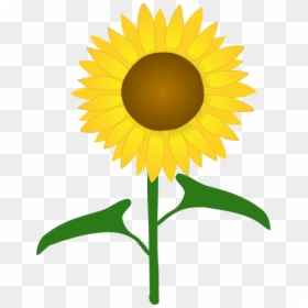 Common Sunflower Drawing Clip Art - Cut File Sunflower Svg Free, HD Png Download - sunflower silhouette png