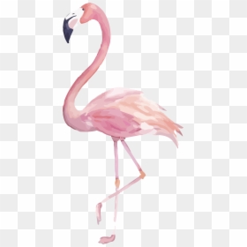 Watercolor Flamingo Clipart, HD Png Download - watercolor flamingo png