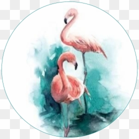 Flamingo Birds Circle Round Pattern Template - Watercolor Painting Ideas, HD Png Download - watercolor flamingo png