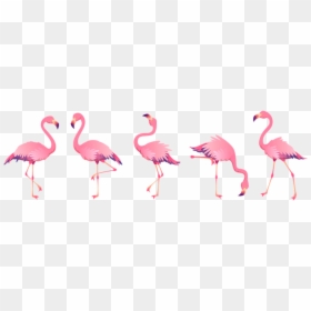 #flamingo #bird #tropical #summer #watercolor - Flamingos Cute, HD Png Download - watercolor flamingo png