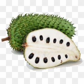 Thumb Image - Soursop Png, Transparent Png - soursop png