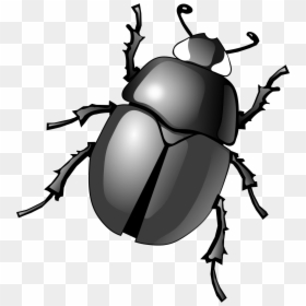Dung Clip Art Transprent - Dung Beetle Clipart, HD Png Download - flying bug png