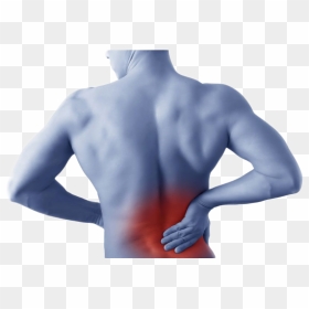 Back Pain Revealed - Muscle Pain, HD Png Download - back pain png