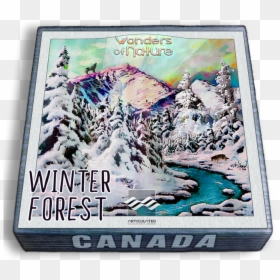 Articulated Sounds Winter Forest Wav, HD Png Download - winter forest png