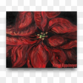 Poinsettia, HD Png Download - poinsetta png