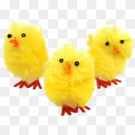#easterchicks #springchicks #chicks #easter #pacques - Stuffed Toy, HD Png Download - easter chicks png