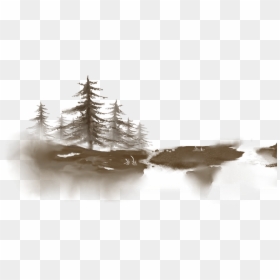 Colorado Spruce, HD Png Download - snow forest png