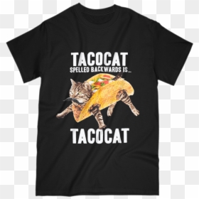 Tacocat Spelled Backwards Taco Cat Graphic T-shirt - Whats Tacocat Spelled Backwards, HD Png Download - backwards png