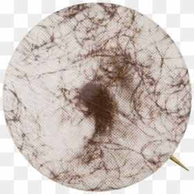Hairy Belly Button Art Button Museum - Circle, HD Png Download - belly button png