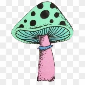 #trendy #mushroom #trippy #groovy #psychedelia #psychedelic - Trippy Magic Mushroom Cartoon, HD Png Download - trippy mushroom png