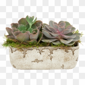 Flowerpot, HD Png Download - mexican paper flowers png