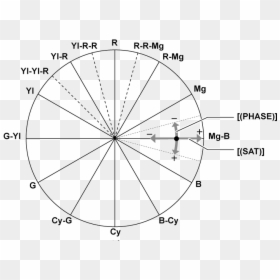 Co Other Colorcorrection - Circle, HD Png Download - color correction png