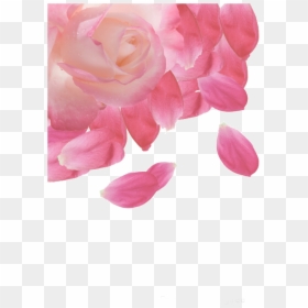 #ftestickers #flower #rose #petals #border #corner - ดอก กุหลาบ สีชมพู Png, Transparent Png - rose corner png