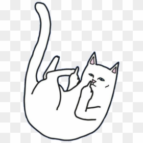 Anime Girl Pointing The Middle Finger, HD Png Download - ripndip png