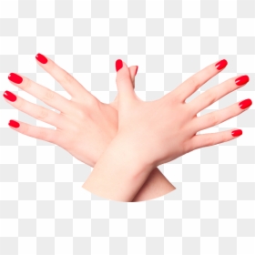 Hands With Nails Png, Transparent Png - creepy hands png
