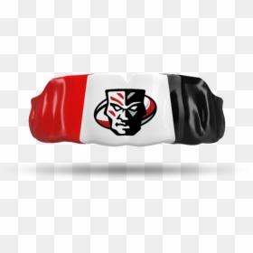 Mouth Guard Mexican Flag, HD Png Download - shark mouth decal png