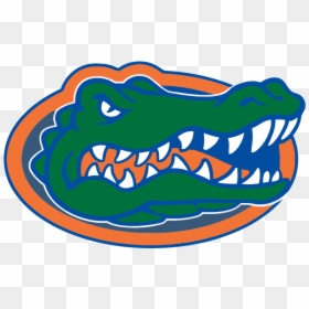 Florida Gators Logo - University Of Florida Gainesville Mascot, HD Png Download - florida gator logo png