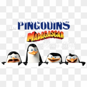 The Madagascar Penguins In A Christmas Caper Image - Penguins Of Madagascar Png, Transparent Png - penguins of madagascar png