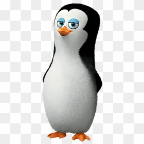 #madagascar #penguins - Skipper Kowalski Rico Private Chick, HD Png Download - penguins of madagascar png