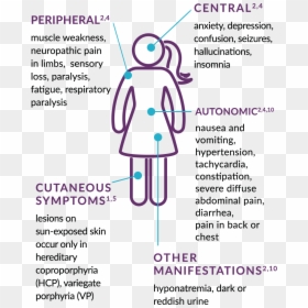 Acute Hepatic Porphyria Symptoms - Illustration, HD Png Download - symptoms png