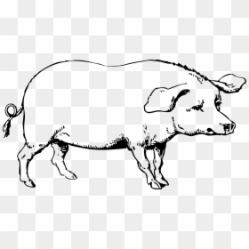 Pig Clipart Cute - Black And White Pig Png, Transparent Png - animal farm png