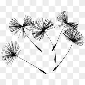 Dandelion Blowball Flowers Free Photo - Holistic Health Clip Art Black And White, HD Png Download - png dandelion