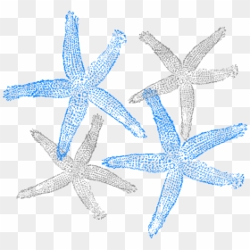 Starfish Clip Art, HD Png Download - starfish vector png