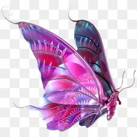 Beautiful Real Butterfly Png, Transparent Png - imagenes en formato png gratis