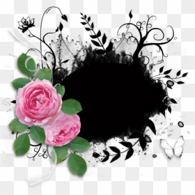 Garden Roses, HD Png Download - clipping mask png