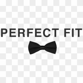 Perfect Fit Formal Wear With Personal Stylist Paul, HD Png Download - formal attire png