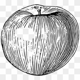 Apple Graphic Drawing Png, Transparent Png - apple drawing png